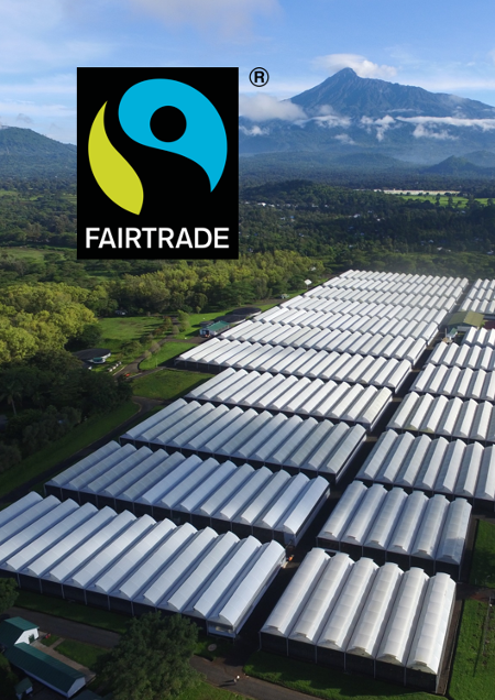 3. Celebrating Fairtrade Certification at 3 African Farms
