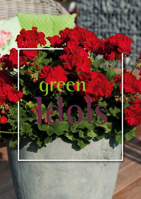Green Idols