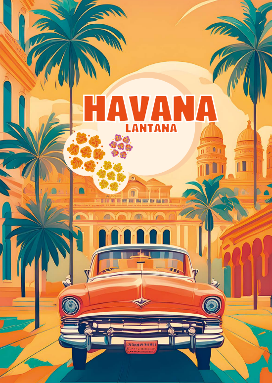 Havana