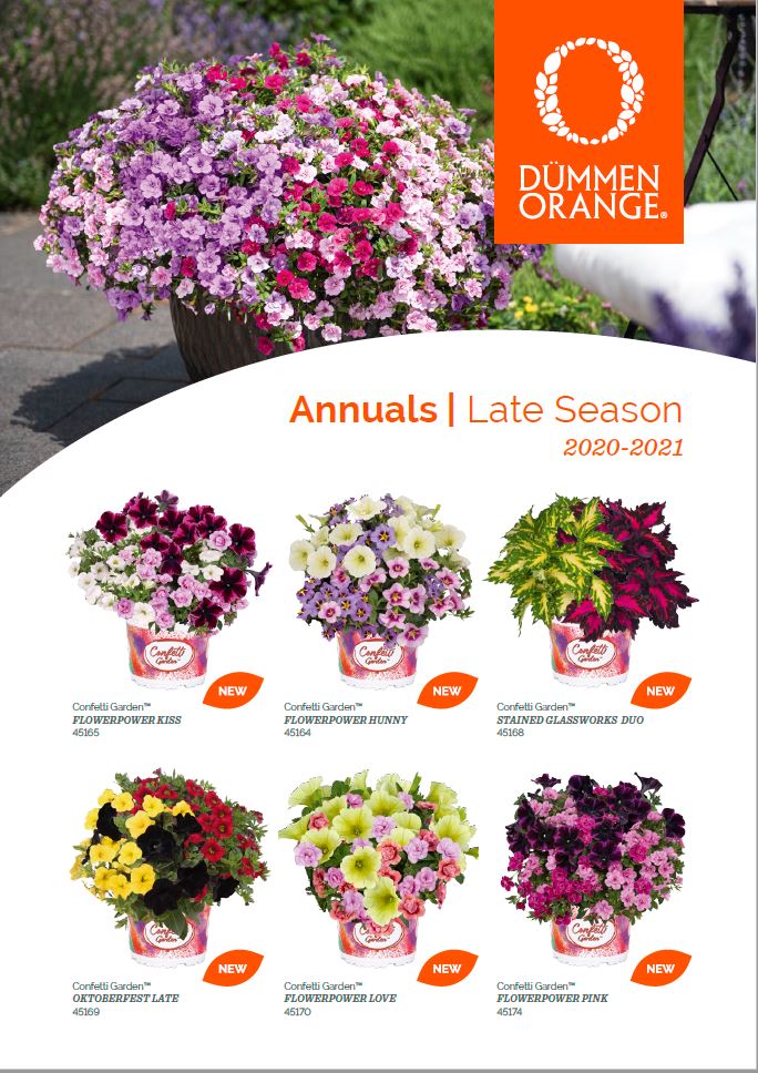 Catalogs Dümmen Orange