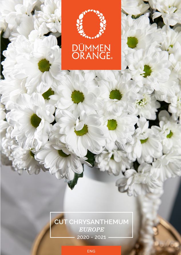 Catalogue Dümmen Orange