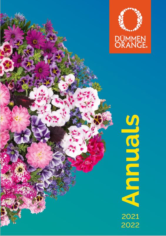 Catalogs Dümmen Orange