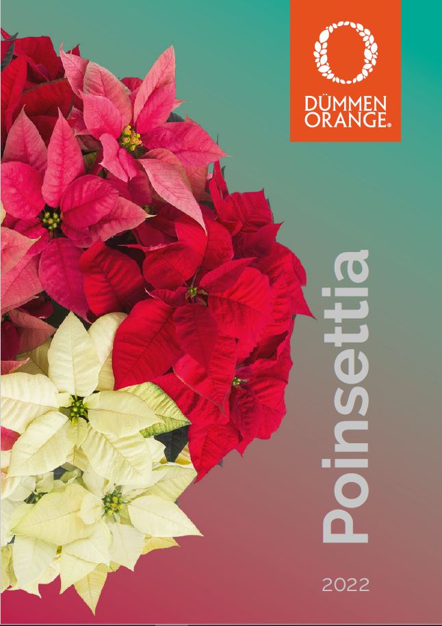 Catalogs Dümmen Orange